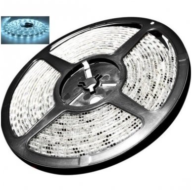 LED juosta balta 12V 14.4W/m LED5050 SMD hermetiška